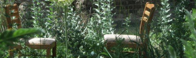 Lying Fallow image by Rajni Shah